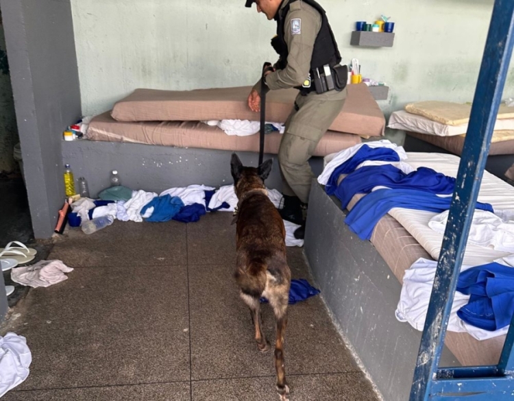 Policial Penal fazendo vistoria. Foto de divulgação.