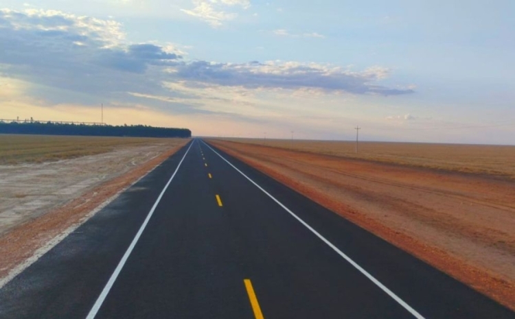 Nova rodovida dos cerrados do Piauí.Foto de Divulgação