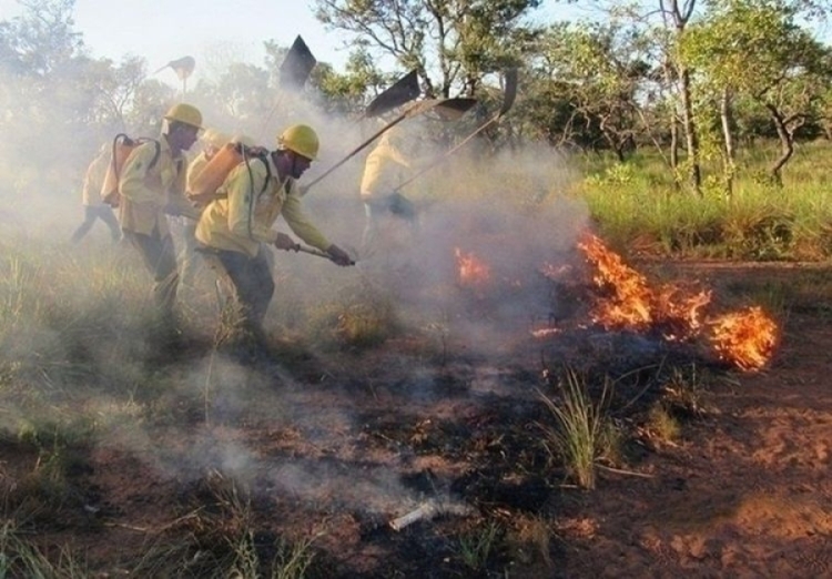 Combate às queimadas no Piauí, foto de divulgação.